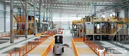 聰明的車(chē)駛上智慧的路 湖北移動(dòng)賦能5G全連接汽車(chē)工廠，開(kāi)啟智能車(chē)飾新篇章